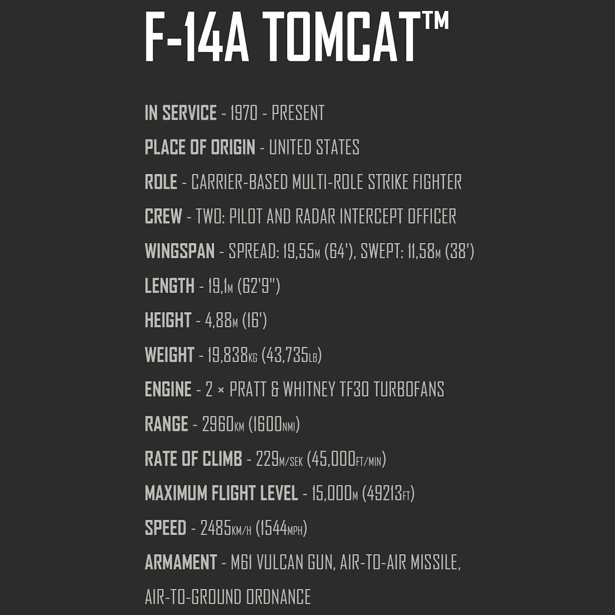 Grumman F-14 Tomcat Top Gun Maverick