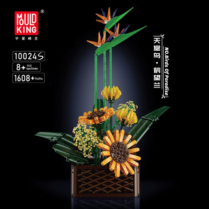 PRE-ORDER Birds of Paradise