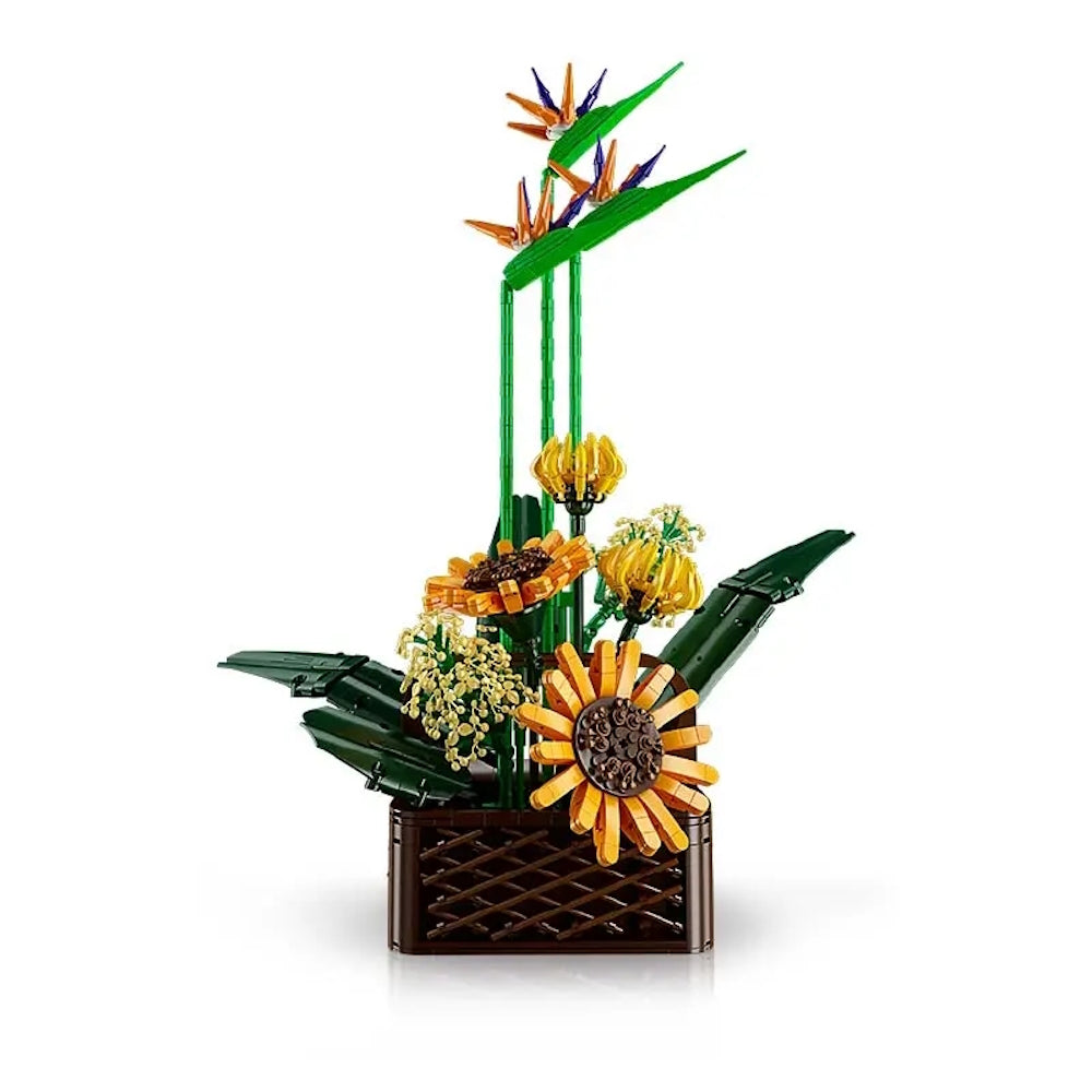 PRE-ORDER Birds of Paradise