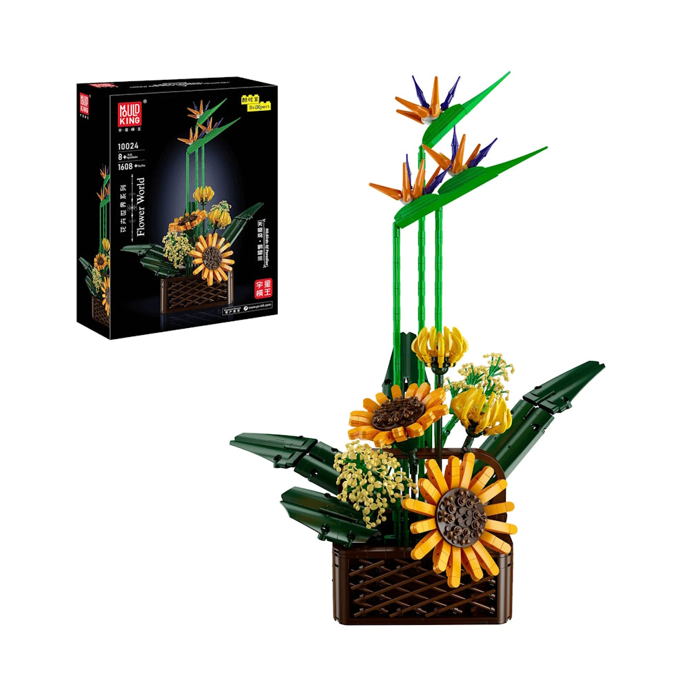 PRE-ORDER Birds of Paradise