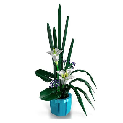 PRE-ORDER Fairy Lily
