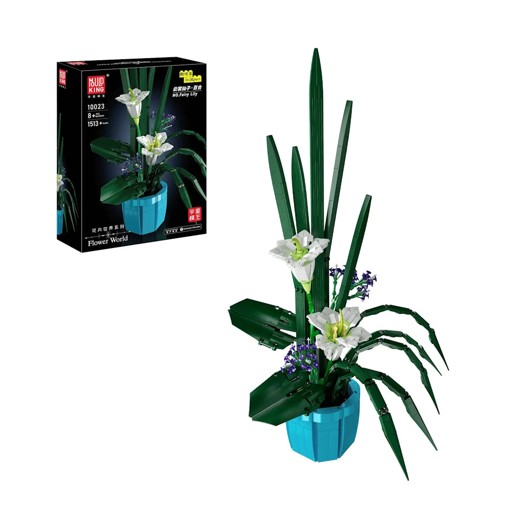 PRE-ORDER Fairy Lily
