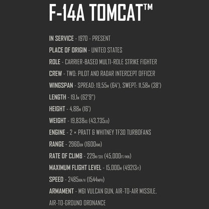 Grumman F-14 Tomcat Top Gun Maverick